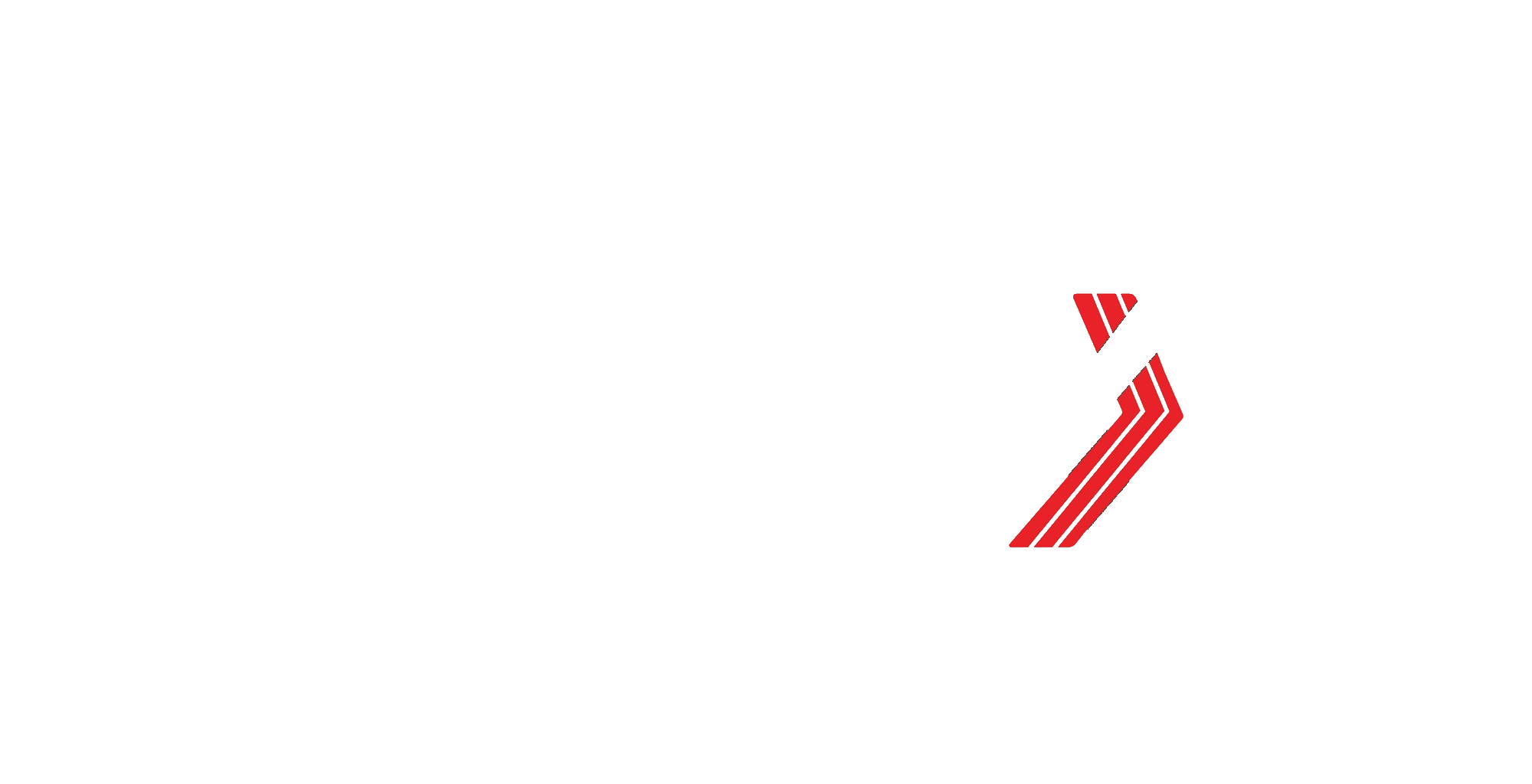 AUTO FLEX